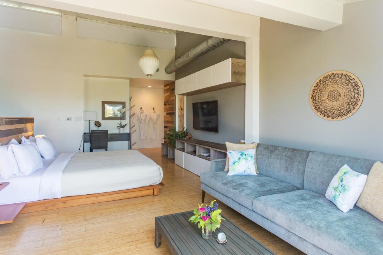 Inn At Moonlight Beach Encinitas Buitenkant foto