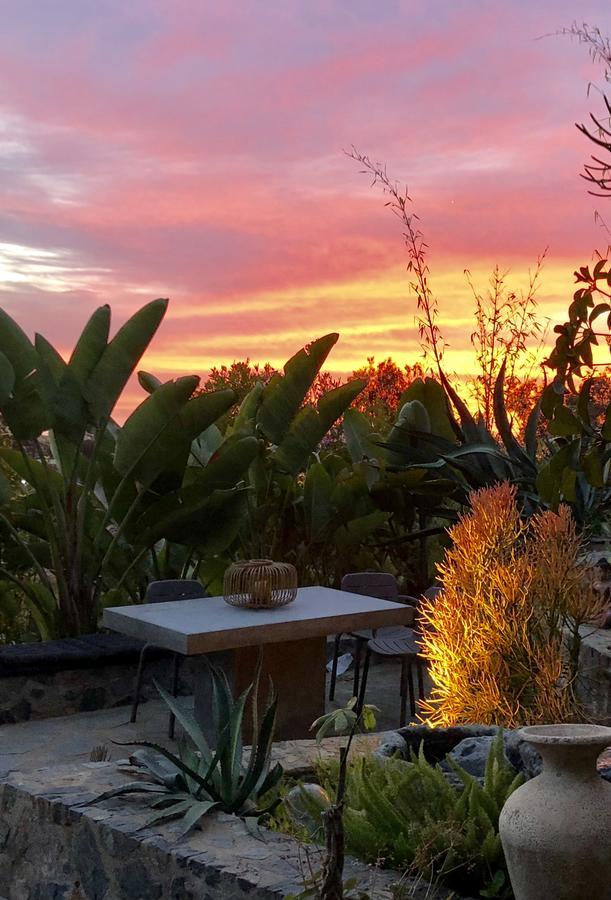 Inn At Moonlight Beach Encinitas Buitenkant foto