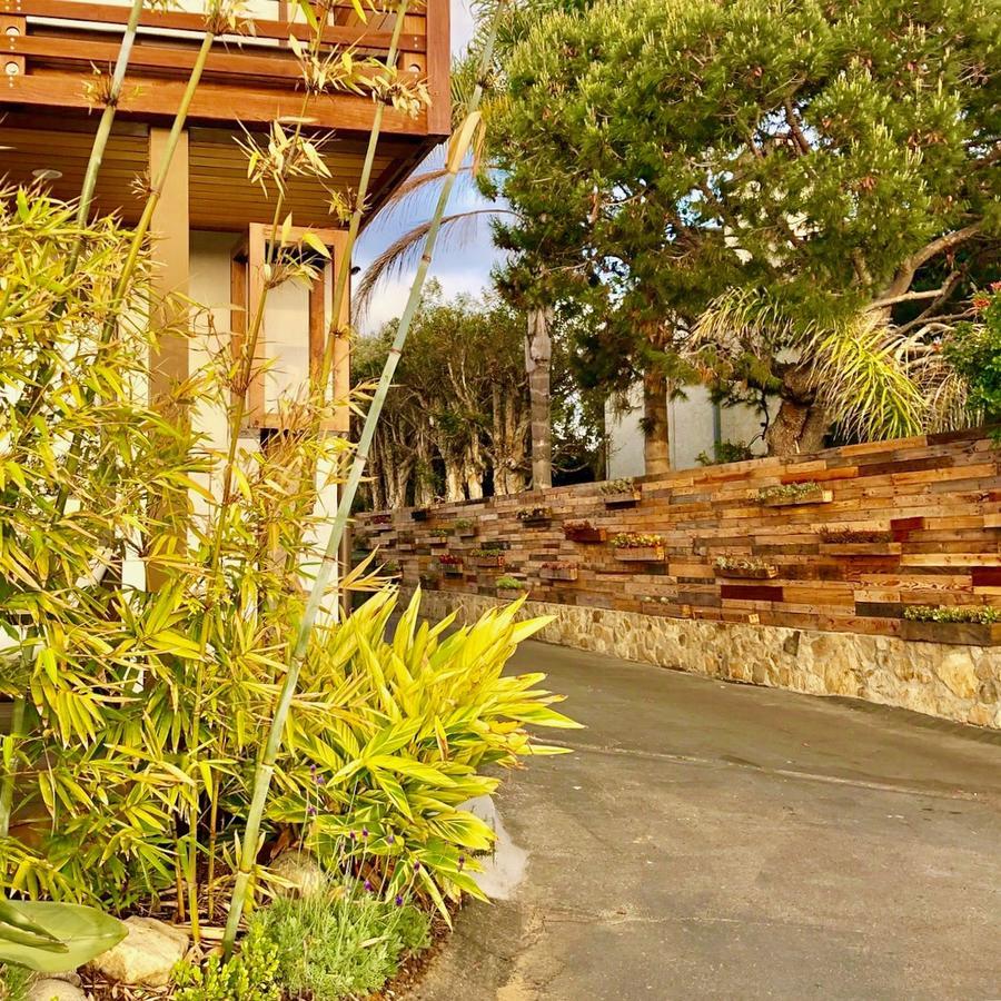 Inn At Moonlight Beach Encinitas Buitenkant foto