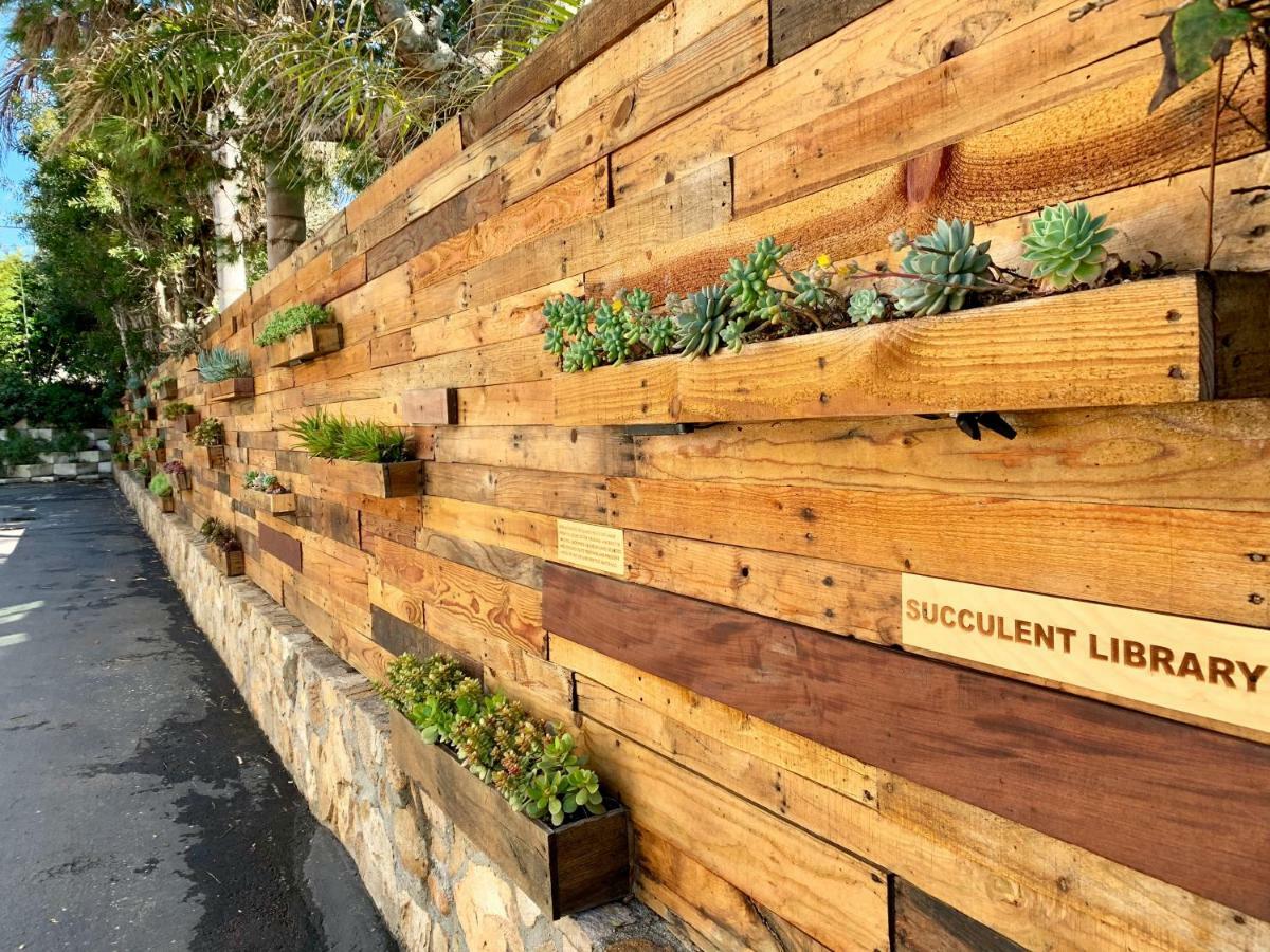 Inn At Moonlight Beach Encinitas Buitenkant foto